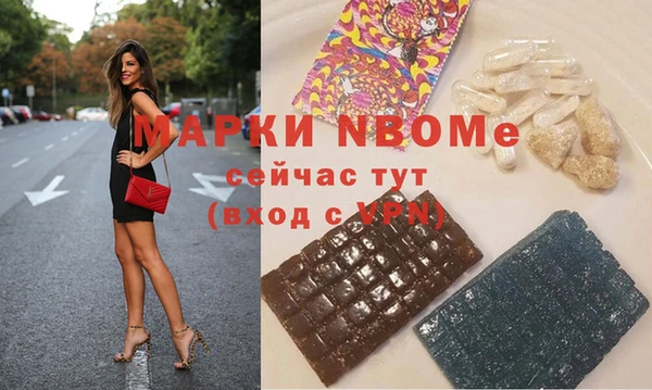 молекула духа Богданович