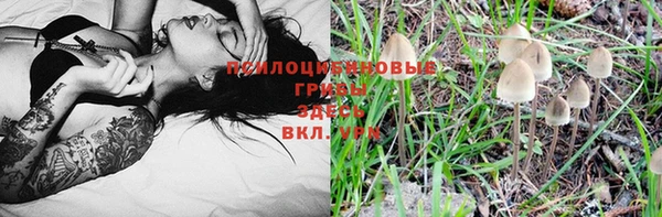 герыч Аркадак