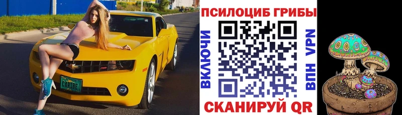 Галлюциногенные грибы Cubensis  Обоянь 